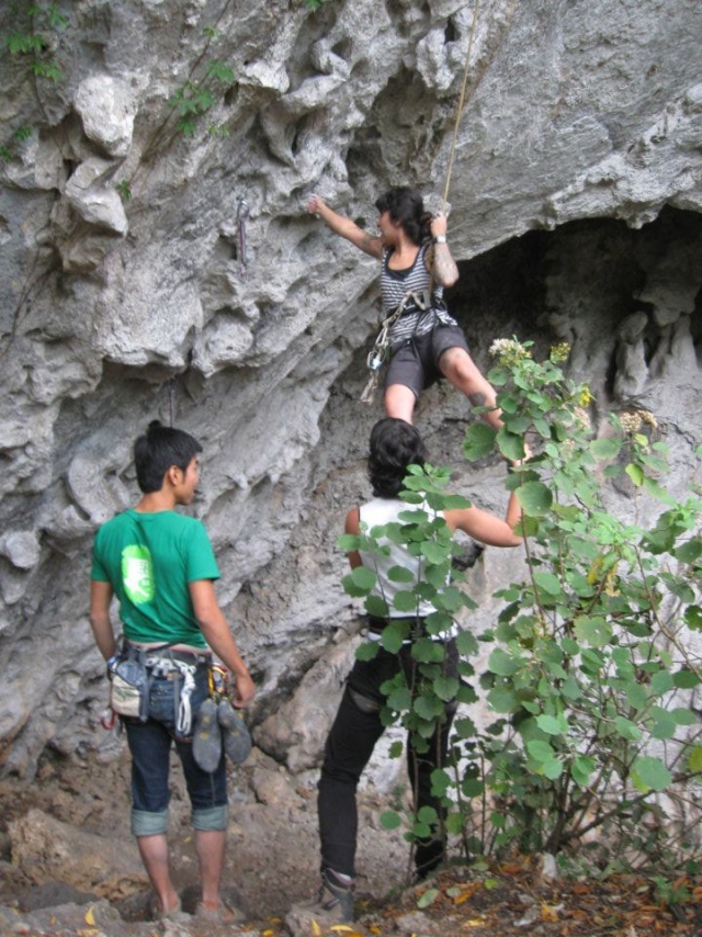 Cursos al aire libre